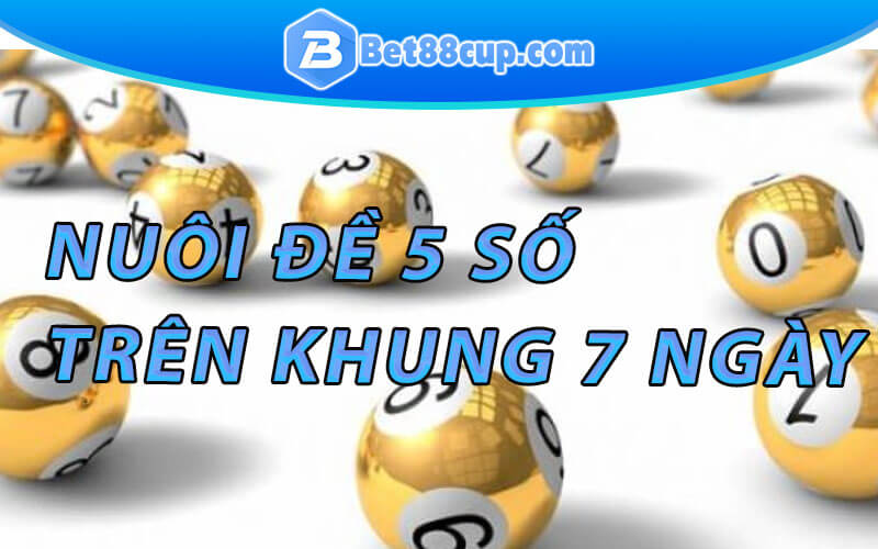 Cách nuôi dàn đề 5 số trên khung 7 ngày hiệu quả nhất