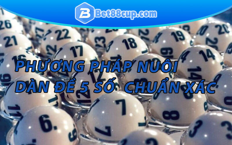 Cách nuôi dàn để 5 số chuẩn xác nhất