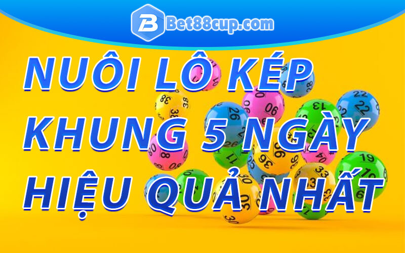 Nuôi lô kép khung 5 ngày hiệu quả nhất