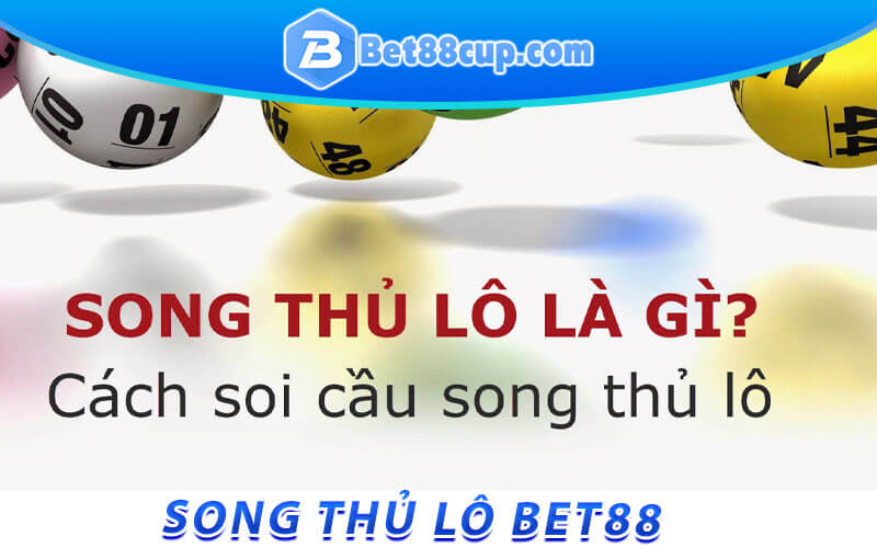 Thế nào là song thu lô