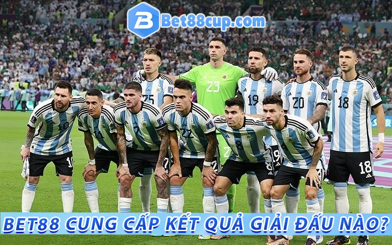 Bet88 cung cấp kết quả những giải đấu bóng đá nào?