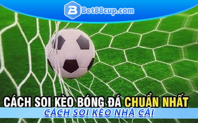 Cách soi kèo nhà cái dành cho người mới chơi