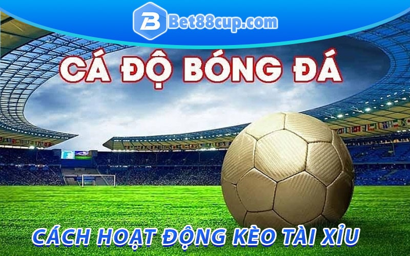 Cách hoạt động kèo