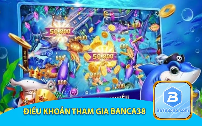 Điều khoản tham gia