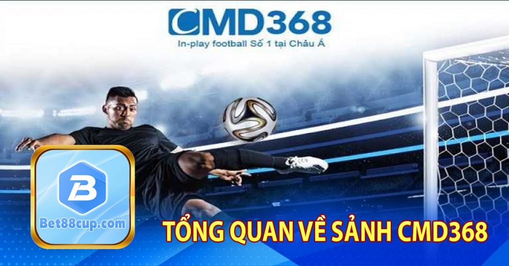 Tổng Quan về sảnh CMD368