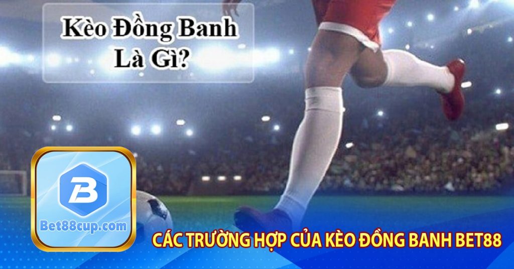 Các trường hợp của kèo