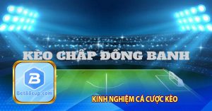 Kinh nghiệm cá cược kèo