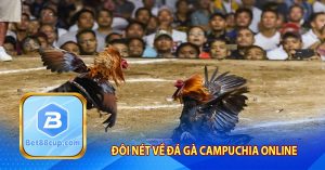 Đôi nét về đá gà Campuchia online