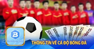 Thông tin về cá độ bóng đá