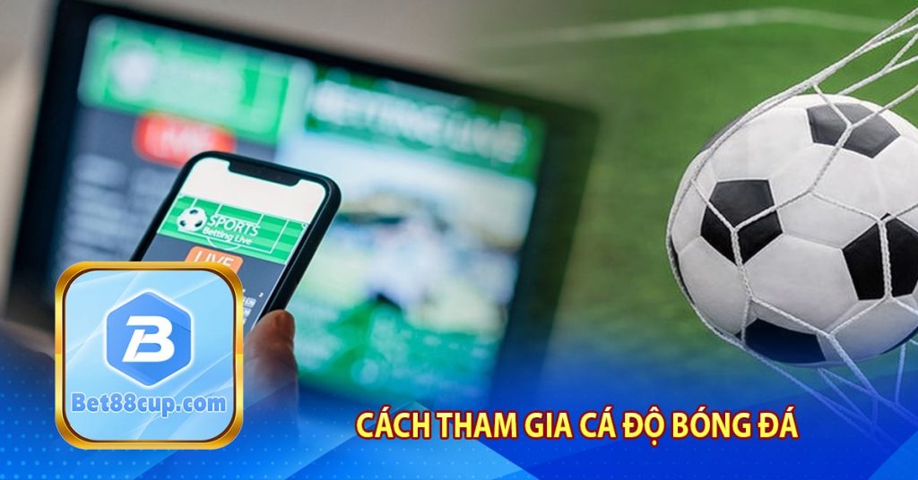 Cách tham gia cá độ bóng đá