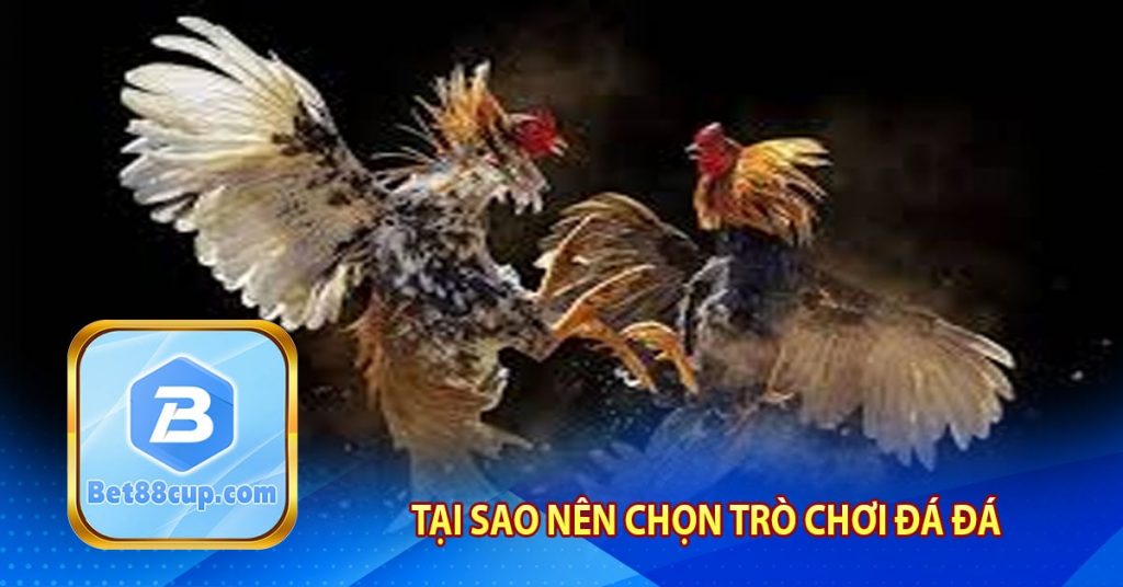 Tại sao nên chọn trò chơi đá gà chọi cựa dao tại Bet88?